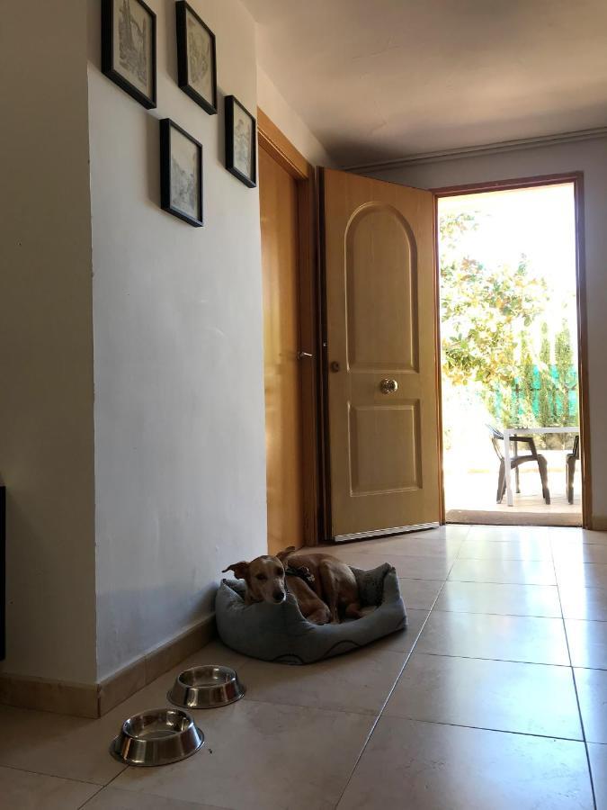 Villa Jazmin Monachil Luaran gambar